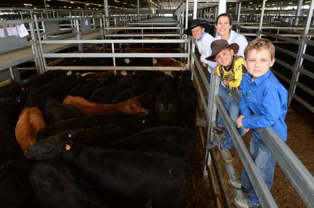 Melanie Monico with her boys Riley, 12, Danny, 7, and Dylan, 6, "Stone Hill", Kings Plains beside their pen of 34 head, Aug/Sep drop, Kennys Creek blood, Angus steer weaners at the CTLX weaner sale in April. Photo: Rachael Webb