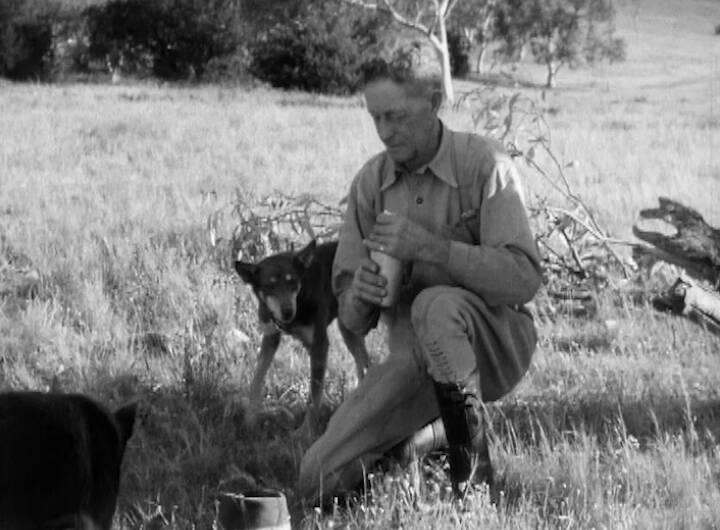 Jim Moore with his famous Kelpie 'Newton Jerry'. A screenshot from Ross Harmer's new film 'Draw a Circle'. 