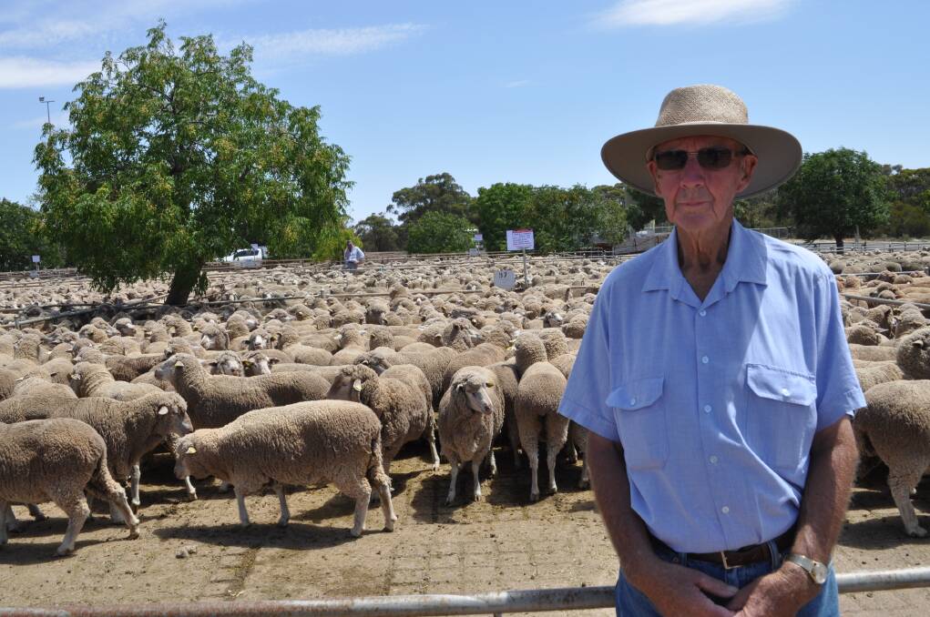 Noel Ridley, "Cornelle", Blow Clear, with his Sept/Oct 2013 drop, Allambie blood, July shorn Merino ewes which sold for $176. 
