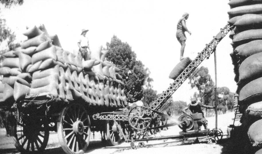 Unloading bagged wheat at Kikiora, 1930s.
