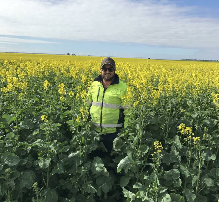 Andrew Powne, manager at “Boolavilla”, Warakirri Cropping, Croppa Creek, in a field of canola planted during the Pioneers Seeds STRIKE trial. The trial ran across farms nationwide, in a variety of environments. 