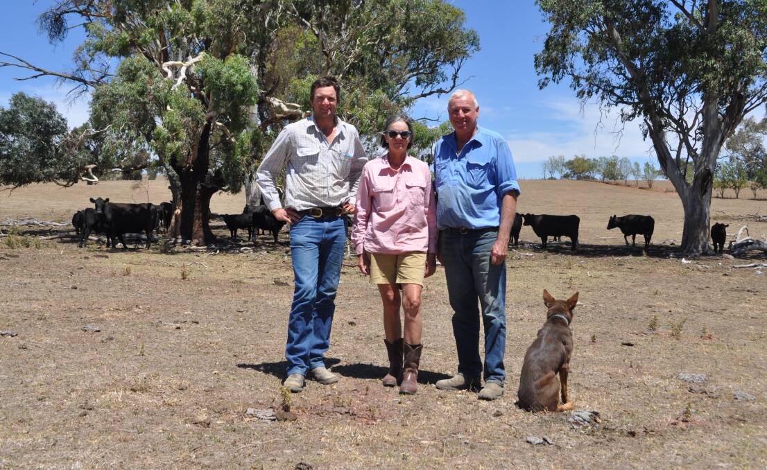 Stuart, Joanna and John Tait, Tait Pastoral Company, "Sunny Downs", Mandurama, with a run of their seven-year-old Angus cows and their dog, Wendy. The Tait family won fourth overall pen of steers in the trial. 