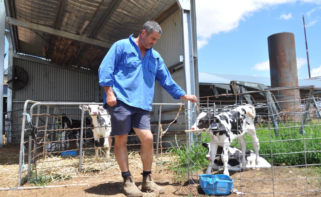 Ian Hindmarsh plans to build an enclosed dairy setup to increase efficiency. 