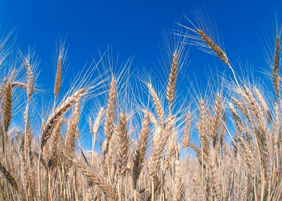An investment in Australian agriculture with low risk marketing solutions for grain farmers