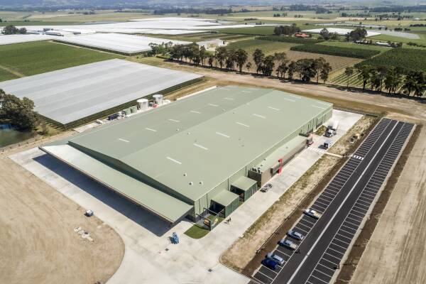 FRUITFUL FOOTPRINT: Entegra Signature Structures built its biggest clear span shed for Red Rich Fruits in the Yarra Valley, standing at 9m high, 80m wide and 128m long.