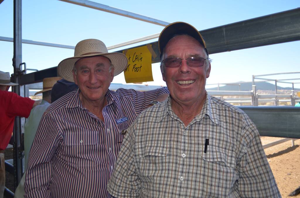 Don Wright, Orange, with Paul Dresser, JJ Dresser and Company, Woodstock, at the CTLX store cattle sale. (Photo taken Circa 2013).