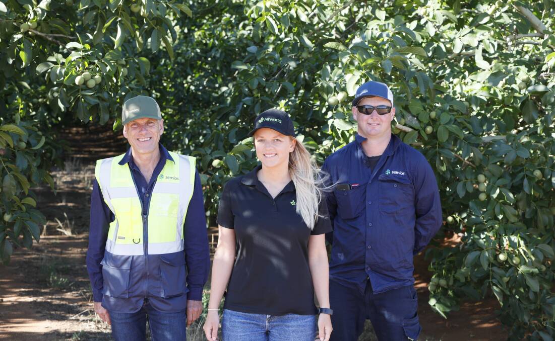 New precision agriculture tools transforming Australian horticulture