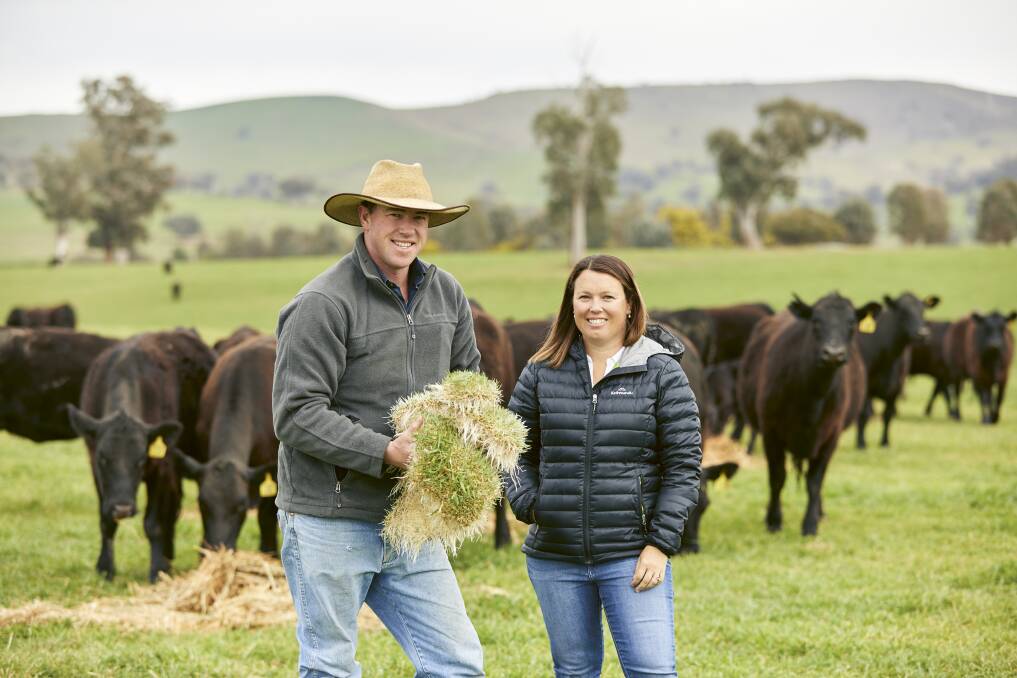 Michael and Gemma Crowe's sixth-generation farming family grows grass from barley seed in six days in a factory to supplement grass grown in the paddock. 