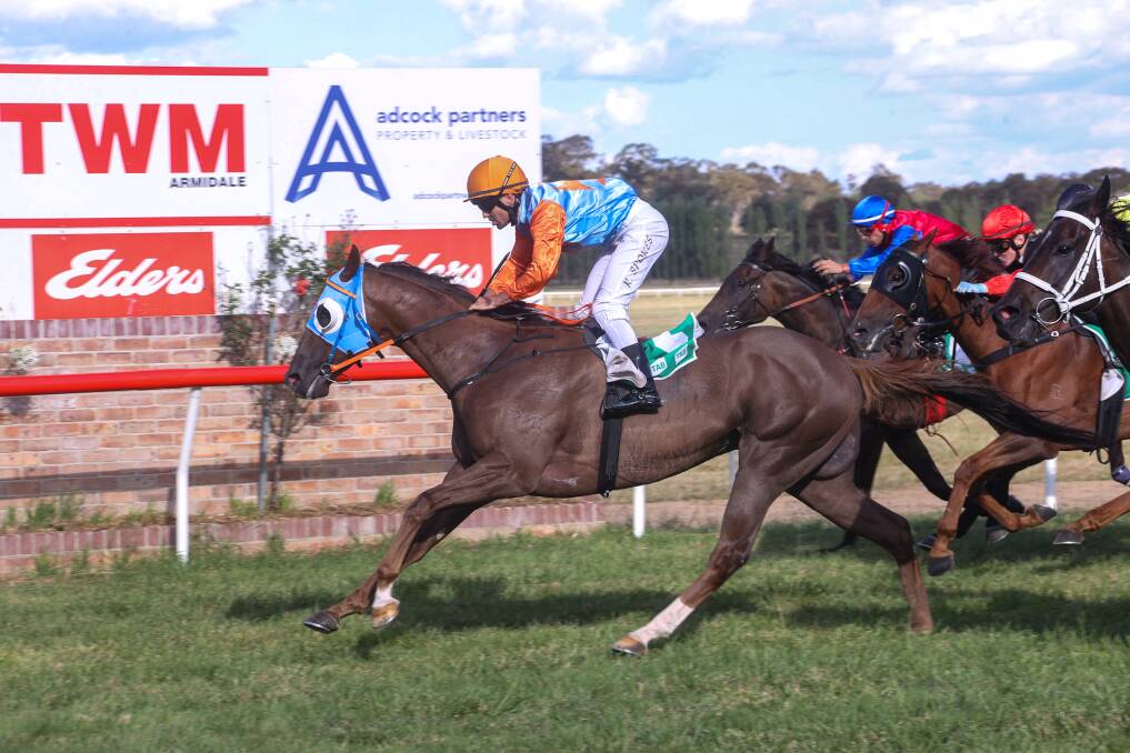 Ray Spokes pilots Acoustix to victory in the Walcha Cup. Picture by Bradley Photos 