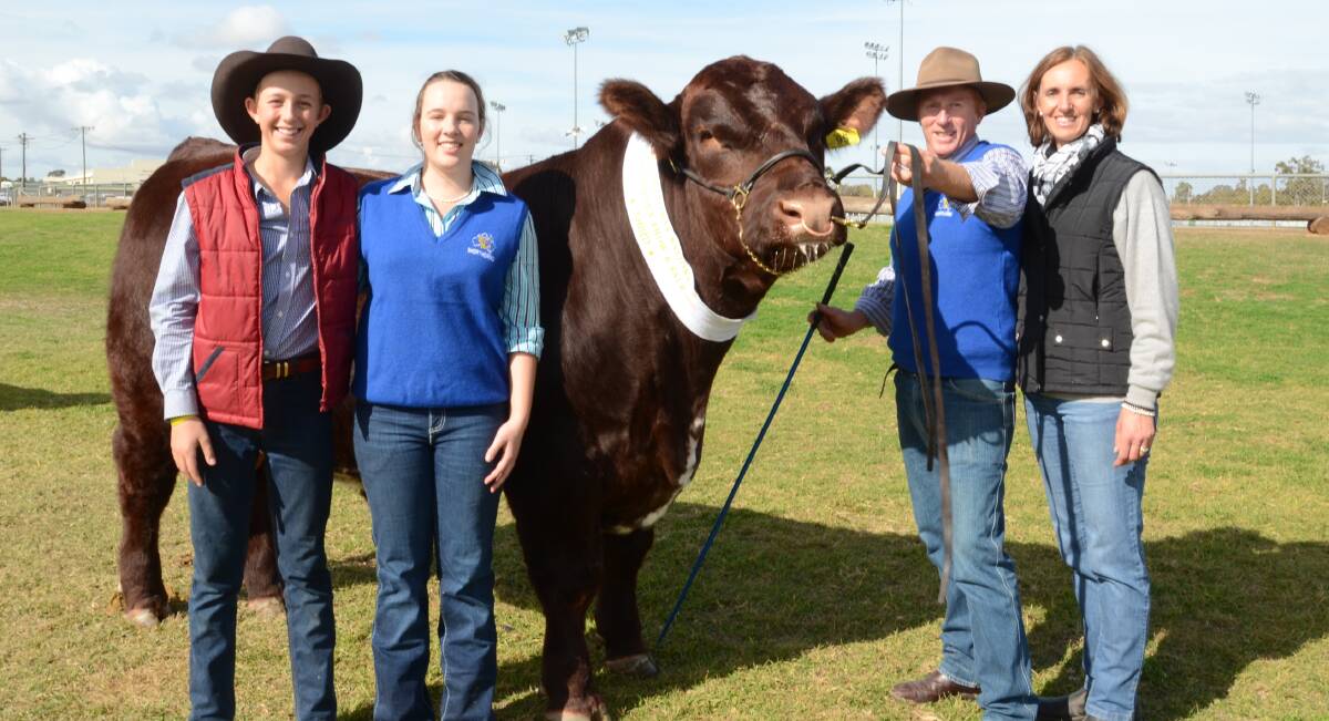 Second top priced bull, Bayview Associate M62, bought by Bob Rollinson, "Goolgumbla", Jerilderie, is pictured with his breeders, Luke, Alexandra, Chris and Anissa Thompson, Bayview stud, Yorktown, SA.