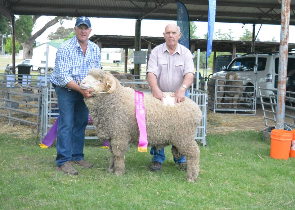 Murray and Reg Power, Airlie Merinos, Walcha, with their 124kg ram which took the people's choice award at the New England Merino Field Days.    