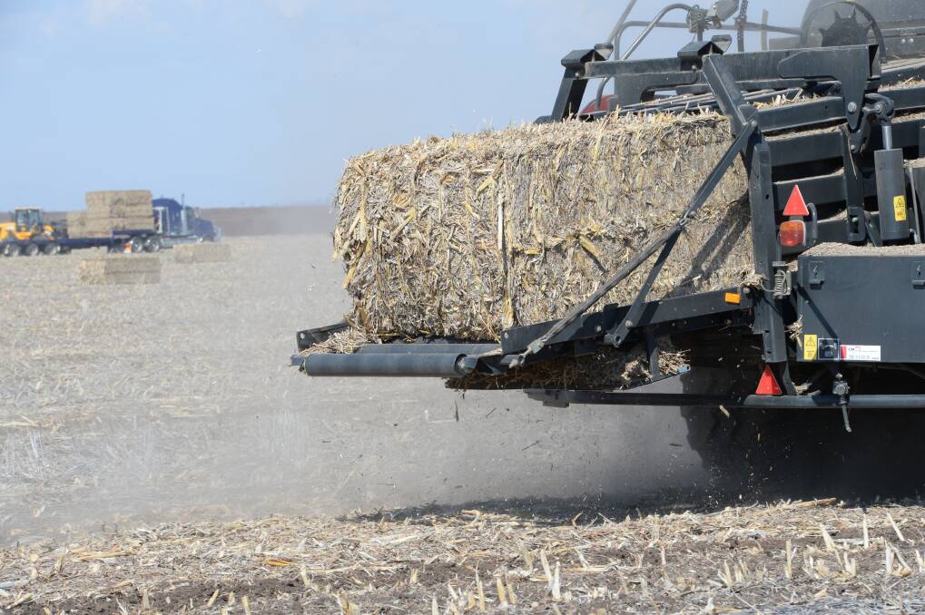 BROADACRE DEMAND: The lift in demand for big square balers is being driven by broadacre grain farmers who want the machines on hand in case they have to bale failed crops. 