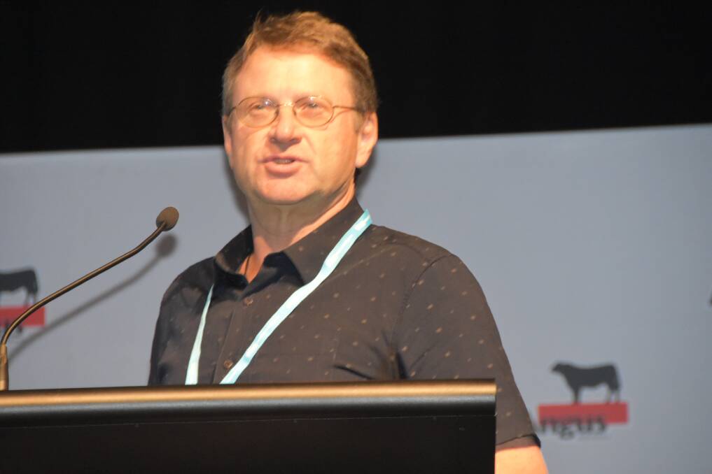 WIDER FOCUS: Leading New Zealand geneticist, Professor Dorian Garrick, says Angus breeders need to focus more heavily on measuring and improving maternal traits. 