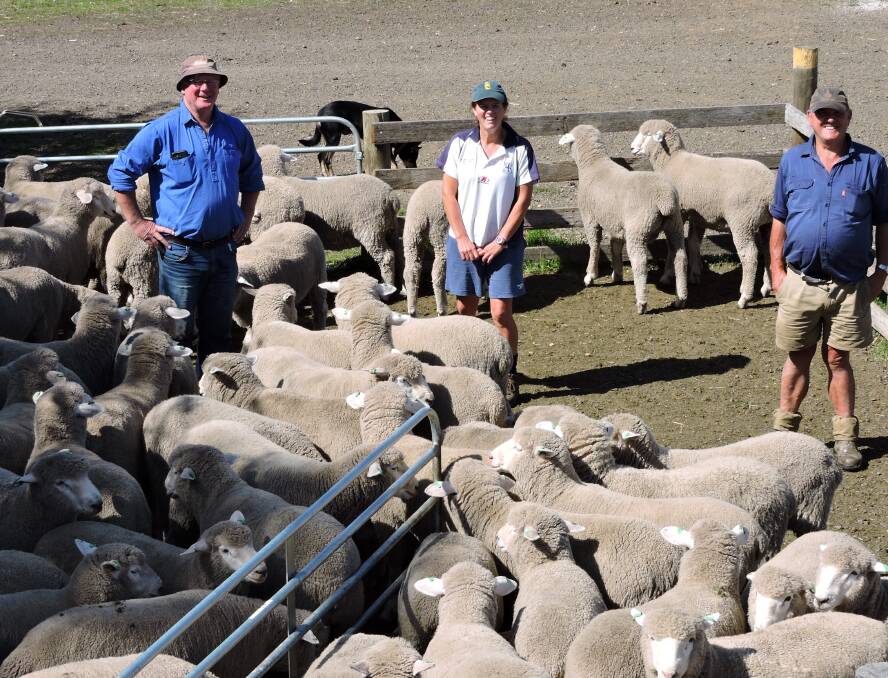 PROVING A POINT: Peter Blackwood, Blackwood Corriedales, Evandale, Tasmania, with Victoria and Richard Archer, Quambly Plains, Hagley, Tas, with lambs from the Corriedale eating quality trial. 