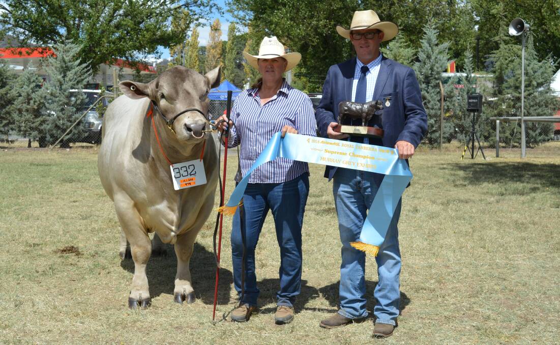 Kym Carlton, Carlinga Murray Greys, Boggabri, with her supreme exhibit at Canberra Royal which was sashed by the judge, Scott Myers.