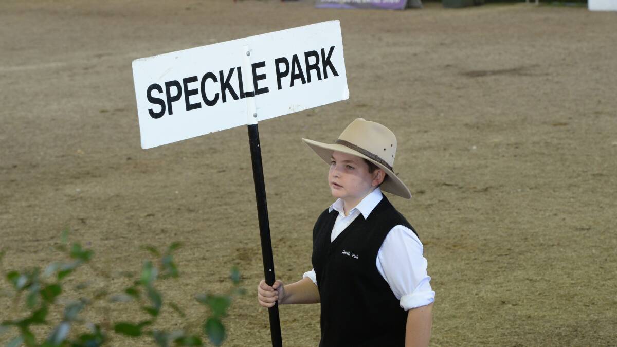 Speckle Parks featured in this year's tough beef cattle interbreed competitions. 