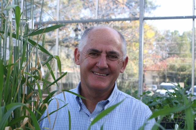 DIVERSITY CHAMPION: Professor Stephen Powles from the University of Western Australia says farmers need to to rotate herbicides more if they want to keep glyphosate in their weed arsenal. 