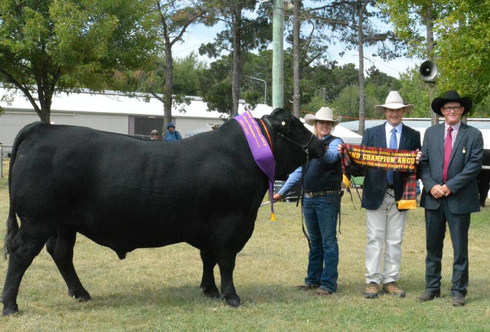 Sophie Halliday, J. and C. Angus, Wildes Meadow, with sponsor, Jason Sutherland, Animal Health International, and the judge, Scott Myers, Moss Vale, and the supreme Angus exhibit, J. and C. Mousetrap.