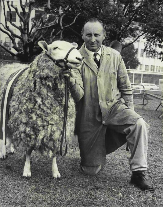 BORDER STALWART: Ray Harper, Cadell stud, Ariah Park, NSW, with a champion ram at Sydney Show in 1973. 