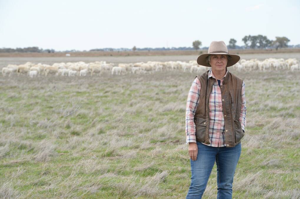 DORPER DELIGHT: Sally Jones, "North Corynnia", Tabbita, north west of Griffith, with maiden White Dorper ewes and lambs in the background. Picture by RACHAEL WEBB.     