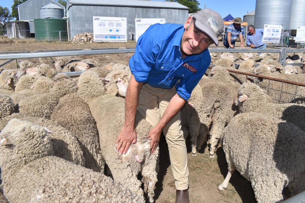 IN LIMBO: Inventor of Sheep Freeze Branding, Dr John Steinfort, says AWEX's moves to accommodate alternative practices to mulesing on the NWD are unnecessary. 