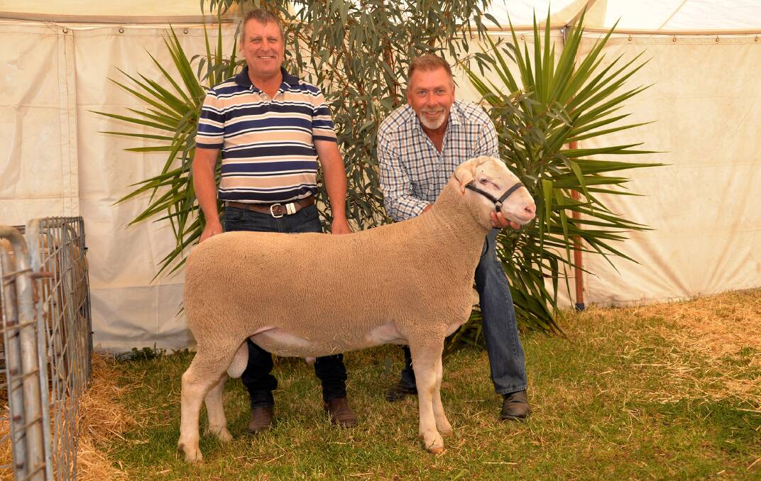 TOP SIRE: Roger Wilkinson, Camborn station, Pooncarie, NSW, with the $32,000 ram he bought at the Detpa Grove stud sale last year. The ram is held by Detpa Grove stud principal, David Pipkorn.