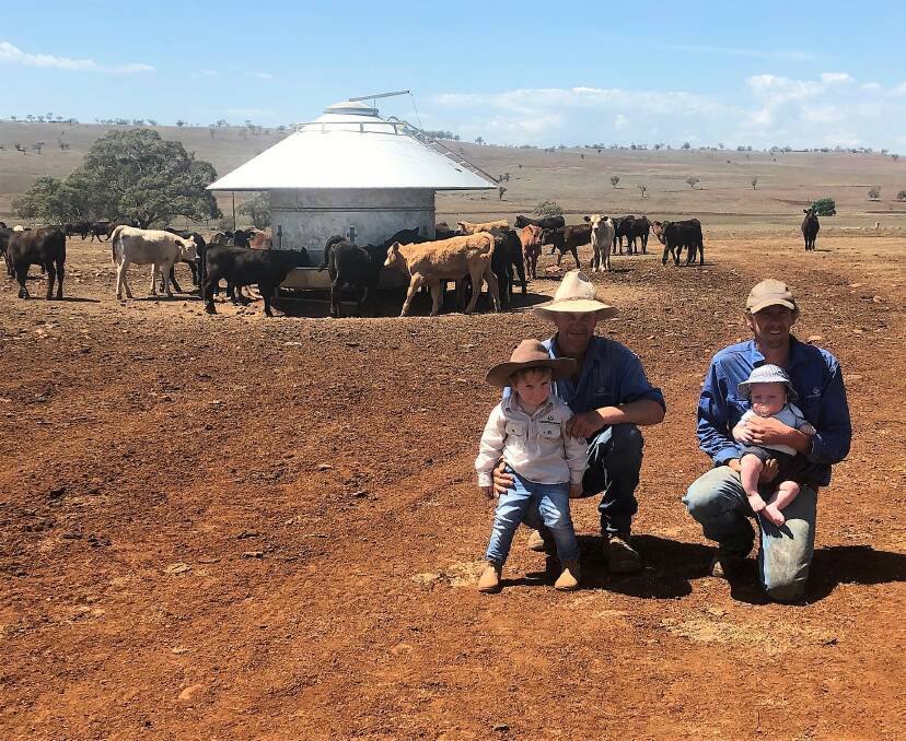 Stephen and George Gill and Michael and Angus Gill with calves that were weaned on November 6 weighing 80-120kg onto Alexander Downs calf meal.