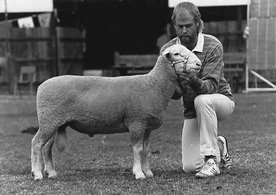 BIG BOY: Ian Turner, Renrut stud, with Moby Dick who sired his champion White Suffolk ewes at the 1991 and 1992 Adelaide Shows. 