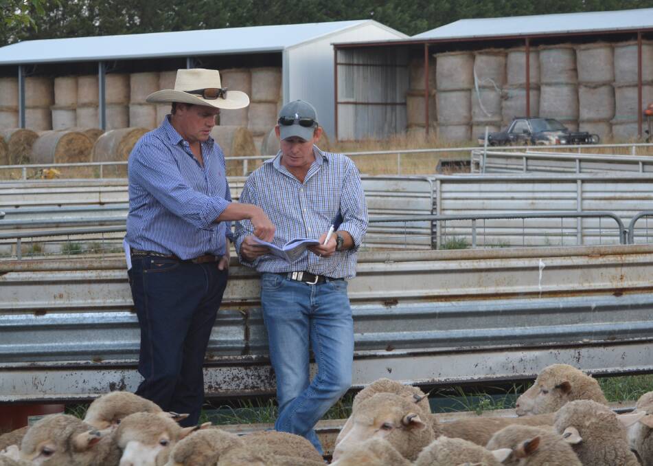 Craig Wilson, Wilson and Associates, Wagga Wagga, and Matthew Coddington, Roseville Park Merino stud, Dubbo, judging on the second day of the Crookwell Flock Ewe Competition last week. They inspected 23 flocks.  