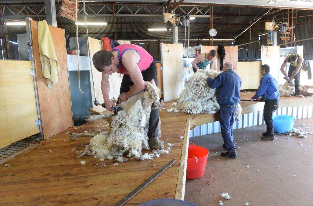 HIT THE BOTTOM?: Growers will be wondering if the wool market has hit the bottom after prices nudged up during this week's final sale on Thursday. 
