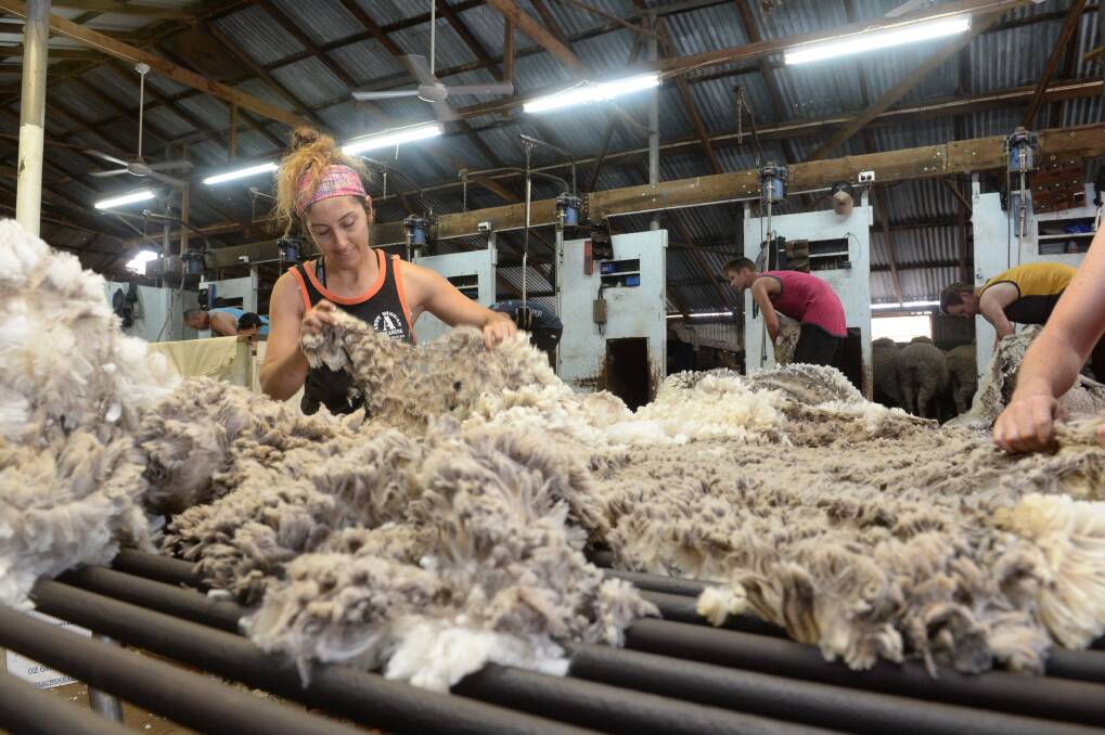 SLIGHT REBOUND: Wool prices rebounded slightly on the final day of selling this week on the back of strong demand for Merino fleece. 