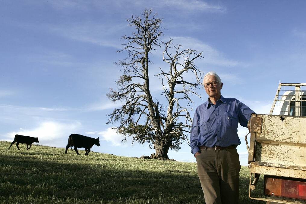Breed leader: James Litchfield, Hazeldean Angus stud, Cooma, was one of the driving forces for the development of the Breedplan performance recording scheme as an objective guide to the genetic merit of bulls. 