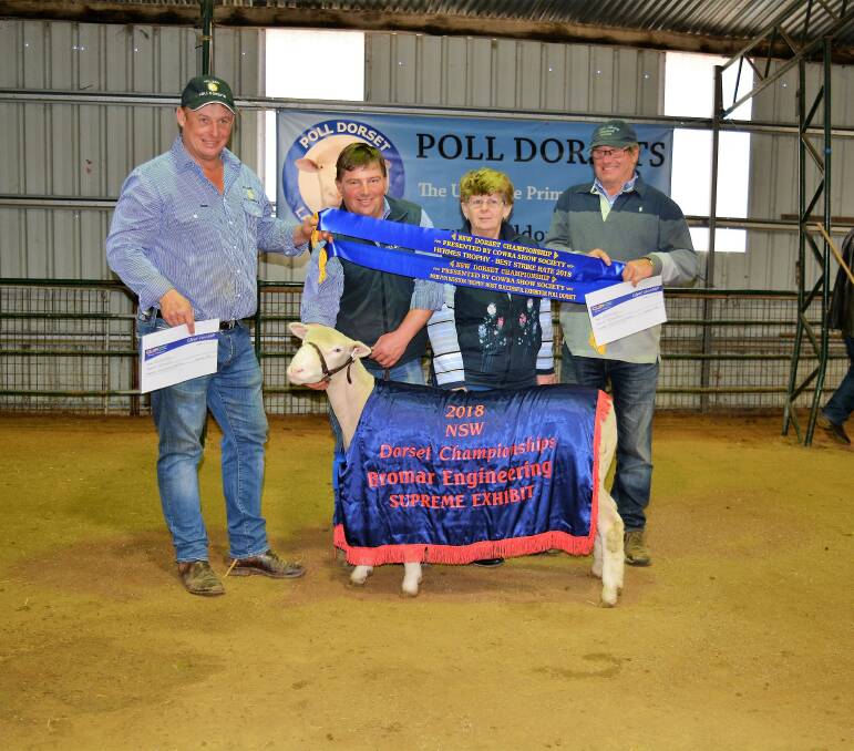 TOUCH OF FROST: The Frost family - Anthony, James, Lorraine and Brian - with their champion Poll Dorset ewe and supreme exhibit at the NSW Dorset Championships at Cowra.   