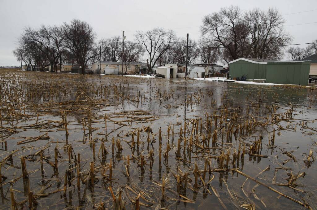 A flooded cornfield near Ashland, Nebraska. Crop farmers' losses have been estimated at hundreds of million of dollars. Photo: Ryan Soderlin/Omaha World-Herald via AP