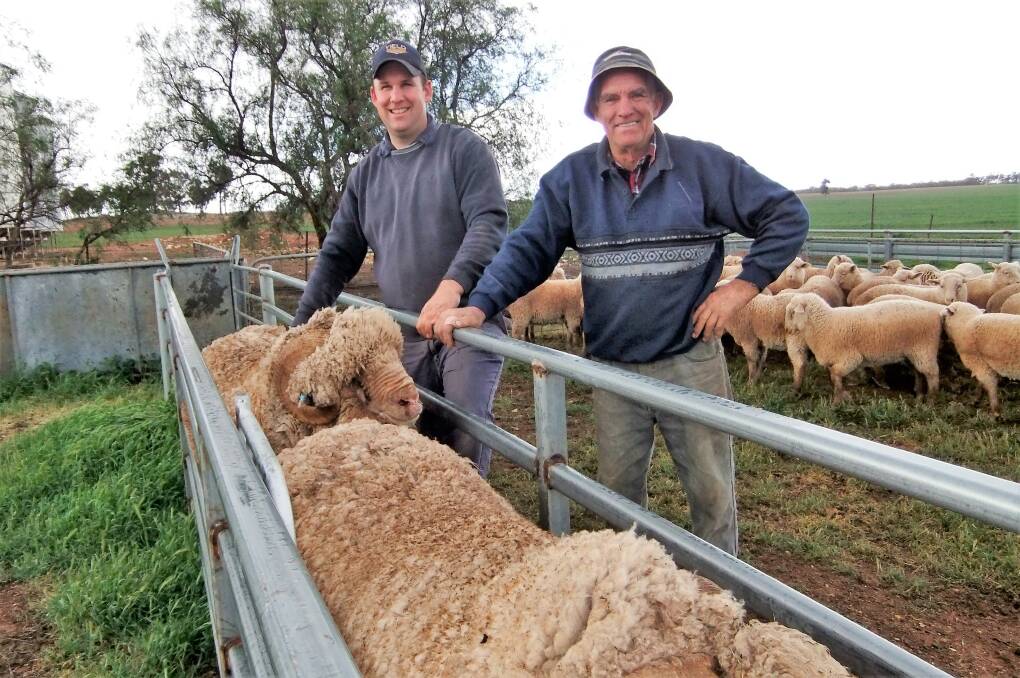 MERINO PUSH: Rodney and Gordon Oxenbridge, Tallimba, are aiming to increase body weight and wool cuts in their Merino flock. Wool density is important to keep out dust.  