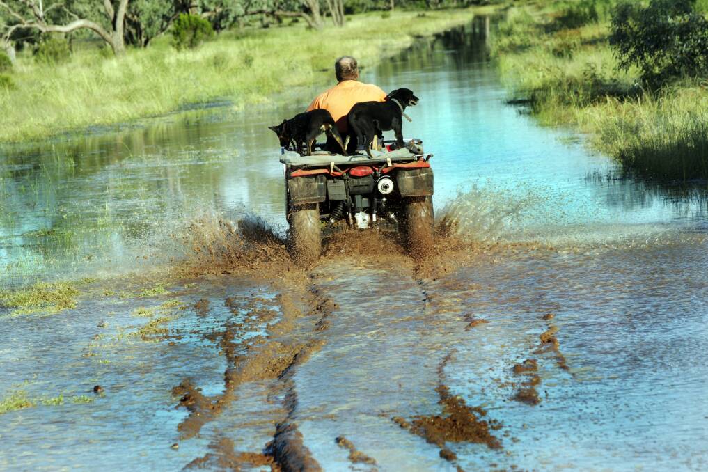 GO ANYWHERE MACHINES: Quad bikes are popular on farms because of their ability to traverse just about any type of terrain including boggy farm roads. 