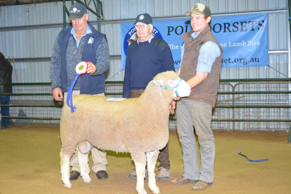 Andrew and James Scott, Valley  Vista stud, Coolac, flank the judge, Julian Iles, Sorell, Tasmania, who named their Poll Dorset ram the grand champion of this year's NSW  Dorset Championships at Cowra.