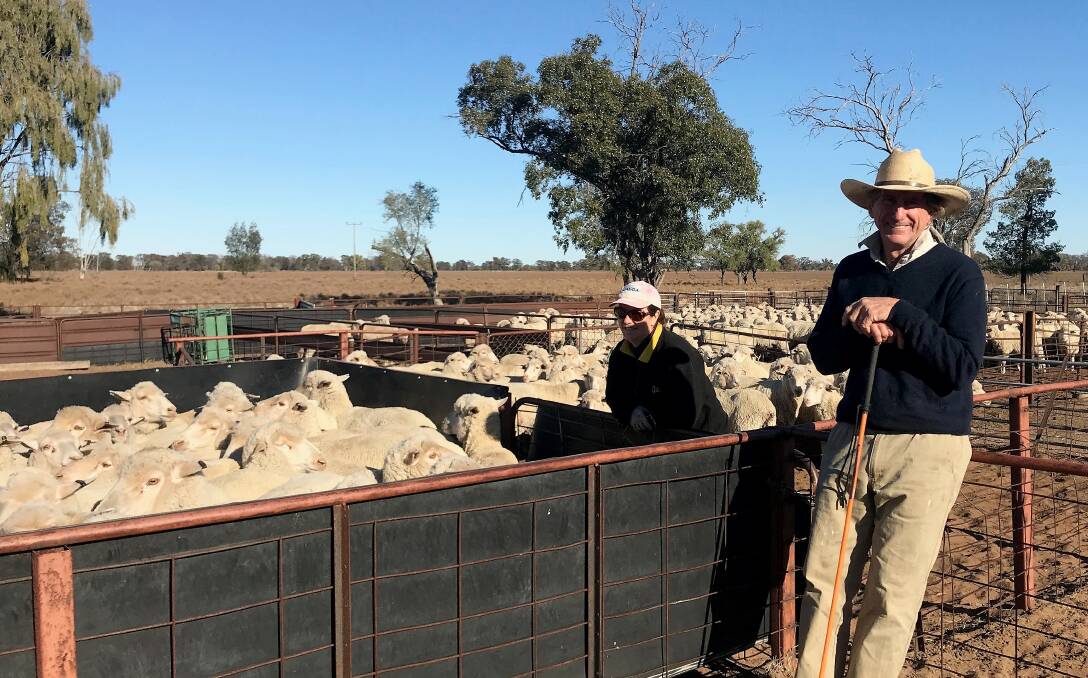 Tessa and Jamie Searle, "Tomberua", Coonamble, checking their Dohnes in the yards. Mr Searle said the Dohnes had been coping well with the drought with some supplementary feeding.  