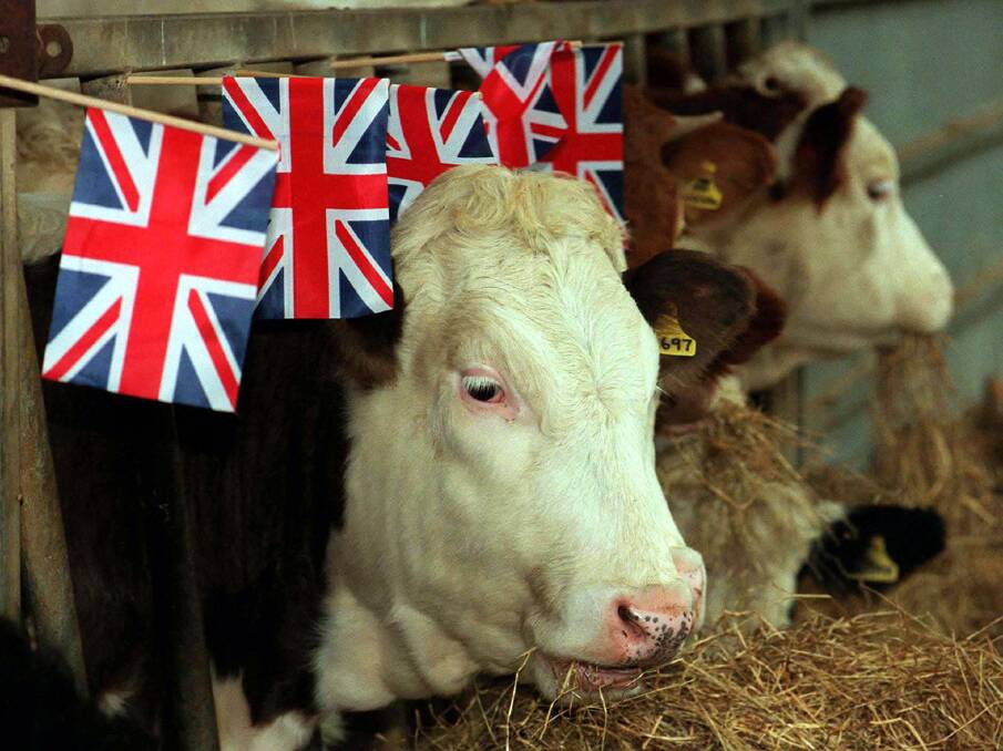 BREXIT BEEF: Australia will act quickly to stitch up a free trade deal with Great Britain once it exits from the European Union next March. A successful FTA should be a boon for local beef exporters. Meanwhile the US is posing a major new beef threat in the EU.    