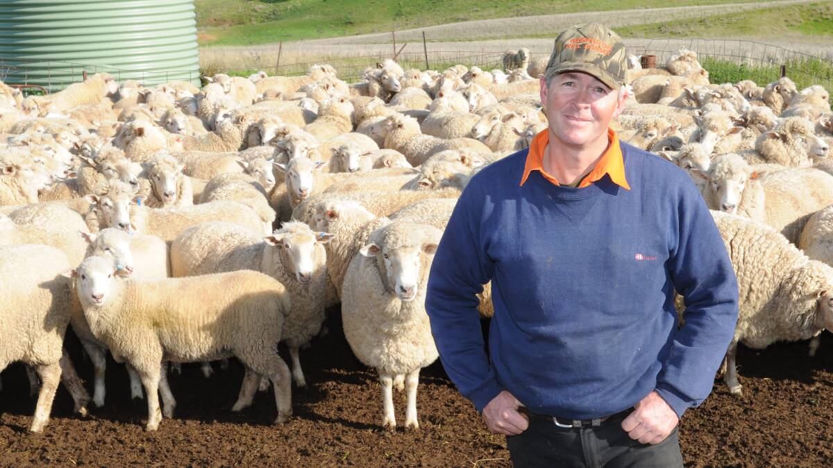 Greg Hamilton, Charlesville, Canowindra, NSW with his four month-old suckers by Windradyne Poll Dorset sires and their first cross mothers.
