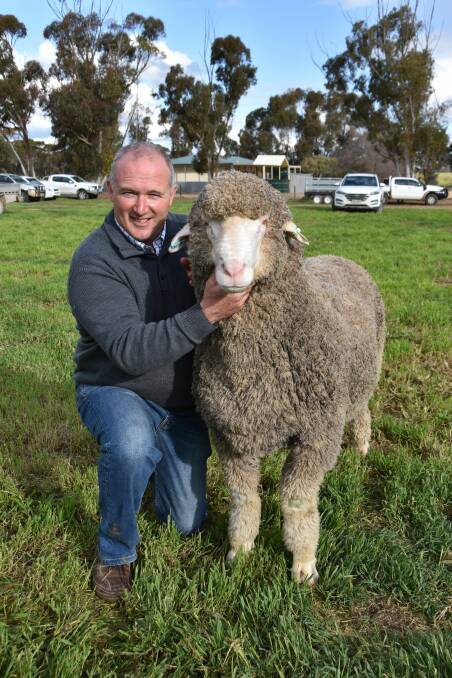 Peter Wallis of Glenlea Park Poll Merino stud, SA, who offered and sold 163 rams to a top of $20,000 and an average of $2954 said his average lifted by over $700. 