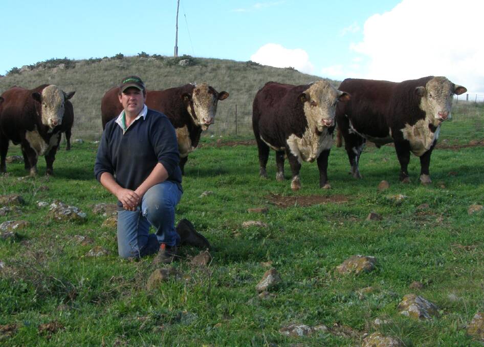 Robert Hain, Gunyah Herefords, Cooma. Gunyah has supported the event since it's inception and sees it as a major opportunity to showcase what they have to offer. 