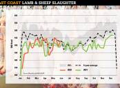 SLIGHT JUMP: East coast lamb throughput of 185,841 head for the week ending May 27 was an 8pc jump on the week prior.