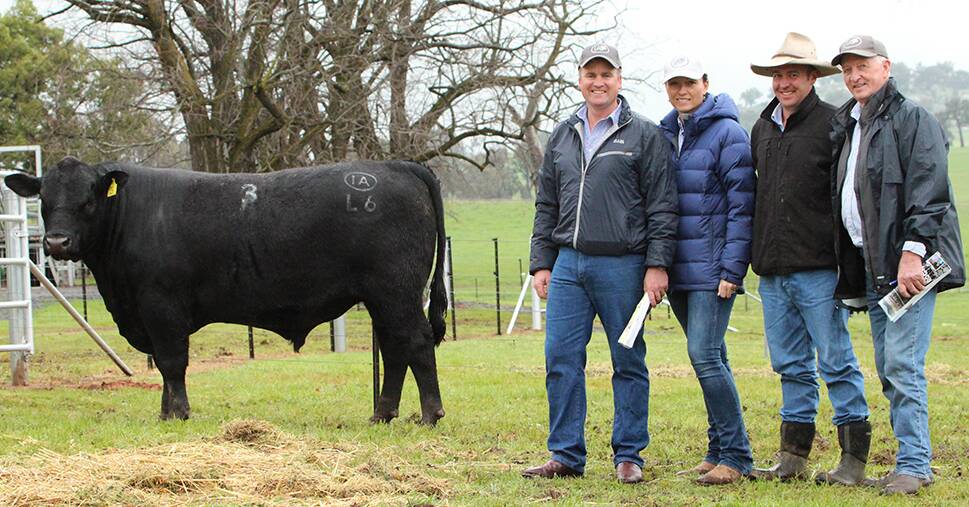 Corey and Prue Ireland, with Evan Travis, H Francis & Co, who purchased Irelands Lewisham L6 for $35,000 on behalf of Hicks Pastoral, and Irelands advisor, Willie Milne.