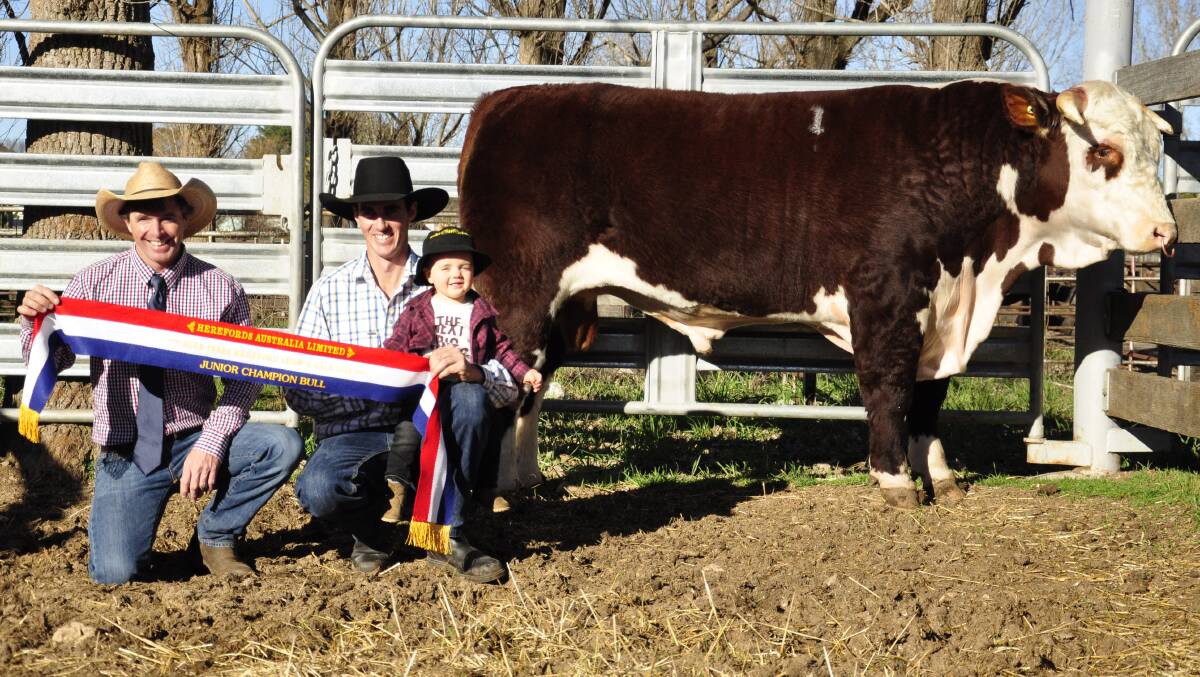 Judge Andrew Klippel, Sugarloaf Creek Herefords, Towong, Victoria, Grant Kneipp, Battalion Herefords, Dundee, with son Travis. Battalion sold the top-priced bull for $45,00 in 2016, creating a new record. 