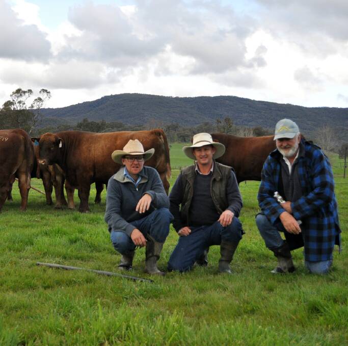 Purchaser of top price bull ABCK633 David Greenup, “Rosevale”, Jandowae, QLD, flanked by Hicks Beef principals Tom and Andrew Hicks.