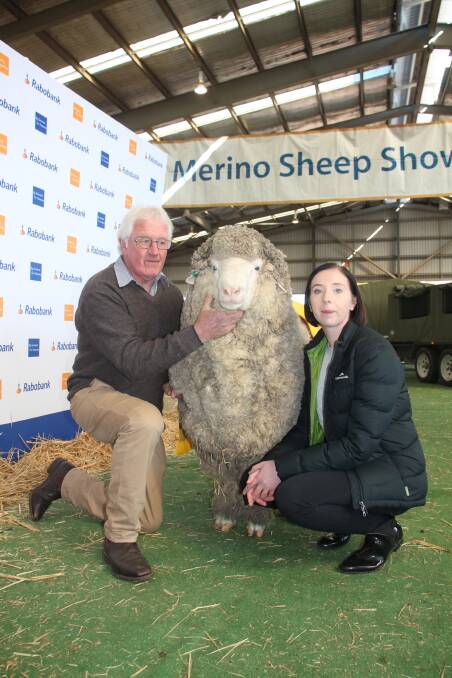 GRAND SLAM: Rafer the ram bred by John Crawford and daughter Nicole of Rock-Bank stud, Victoria Valley, Victoria, won  the 2018 supreme Australian ram of the year title. 