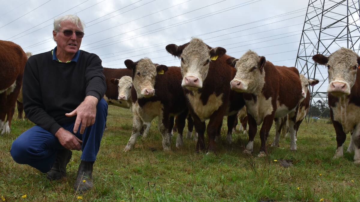 Gary Mason, and wife Jan, run about 60 Hereford breeders on their 50-hectare property in Longwarry North.