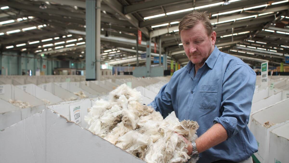 Australian Wool Innovation's trade consultant, Scott Carmody, said the price gains that eventuated this week almost halved the losses of the previous three sale weeks. 