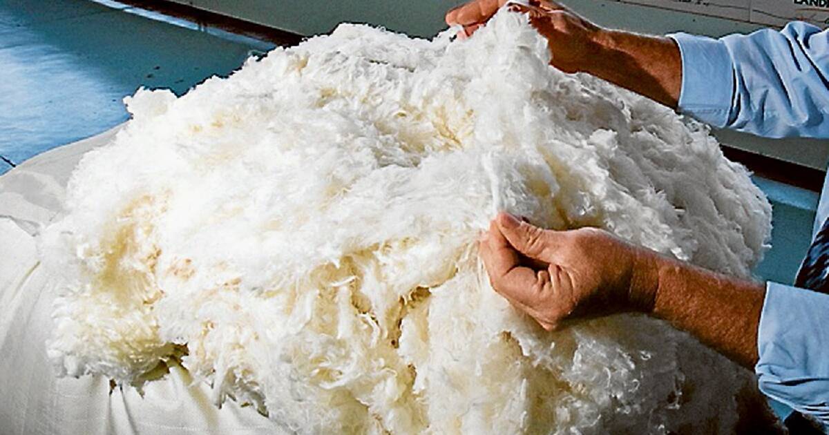 All wool types have found favor with buyers, but demand for fine and superfine lines has been particularly strong online and at the physical auctions - boding well for 2021.
